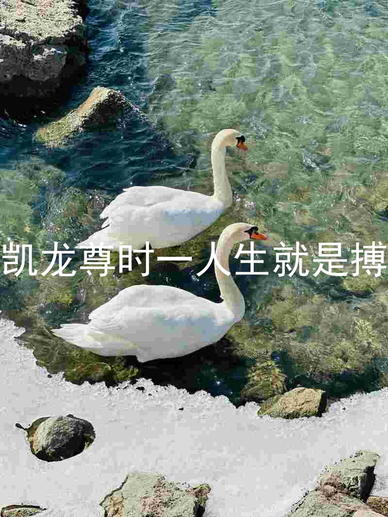 凯龙尊时一人生就是搏