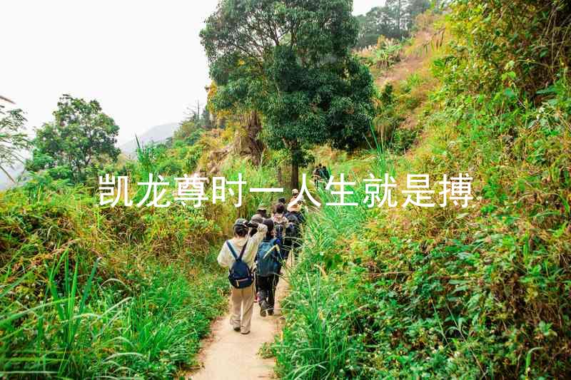 凯龙尊时一人生就是搏