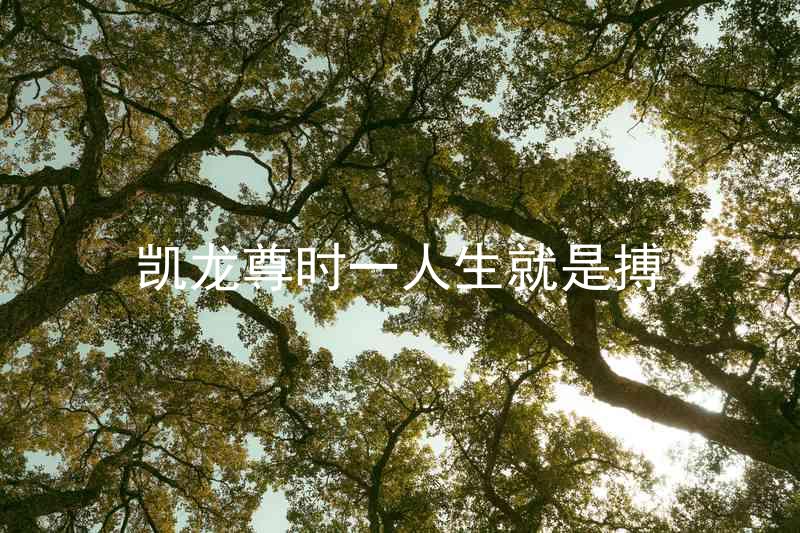 凯龙尊时一人生就是搏